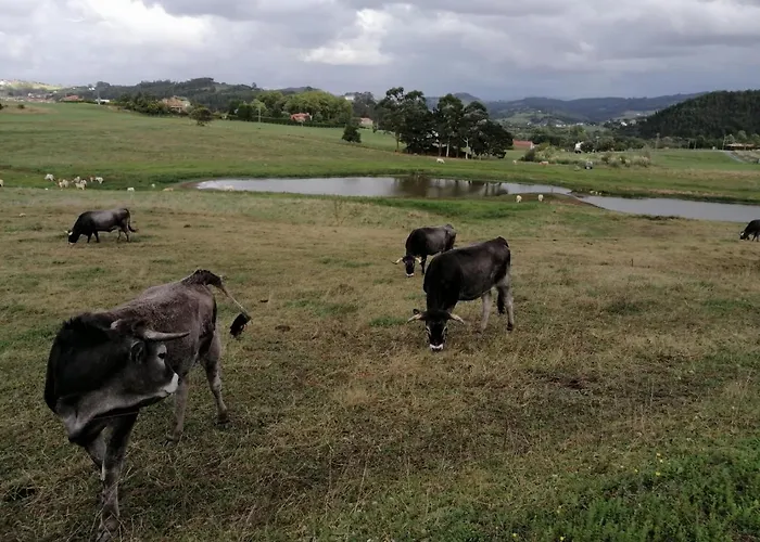Pueblo De Appartement