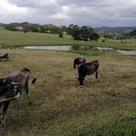 Pueblo De Διαμέρισμα